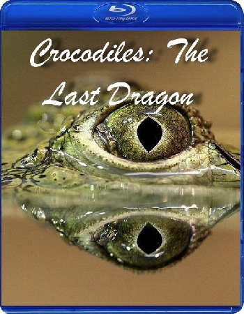 :   / Crocodiles: The Last Dragon (2009) HDTV 1080i