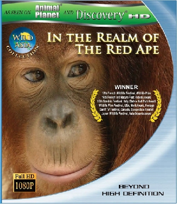  :     / Wild Asia: In the Realm of the Red Ape (2001) BDRip 1080p